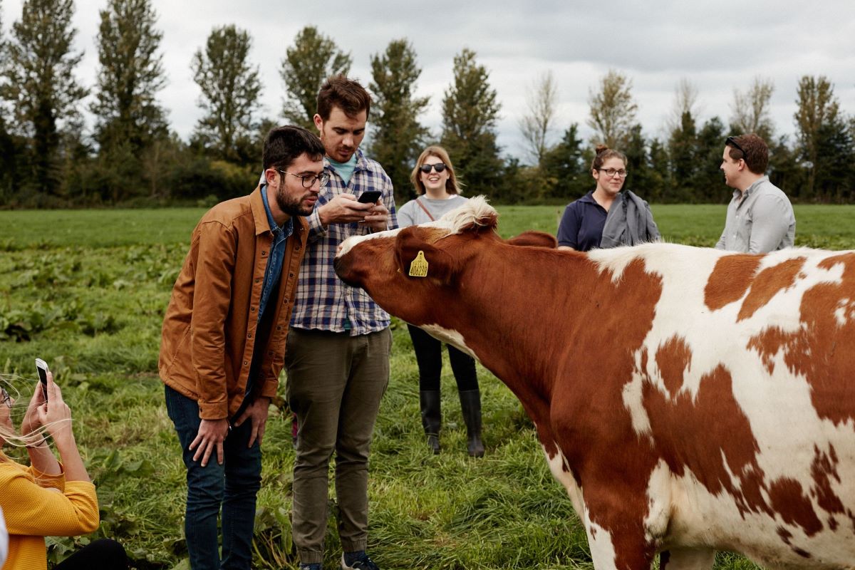 Quicke's cheese tour