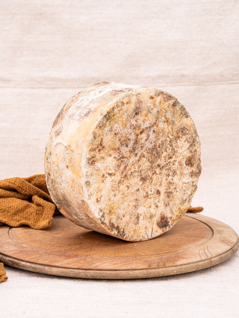 Devonshire Red Truckle