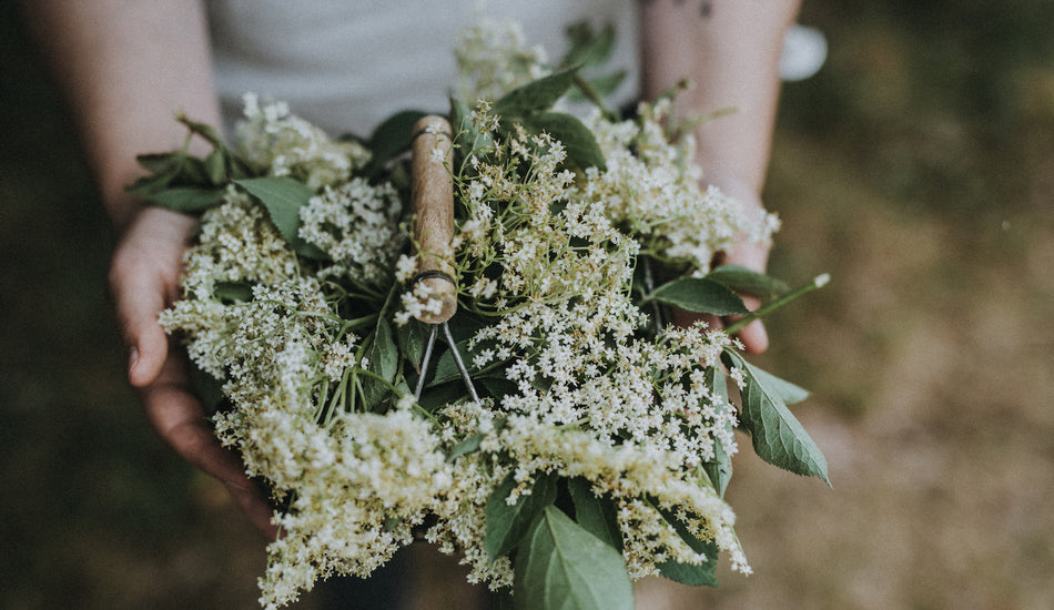 An interview with Bello Wild Food