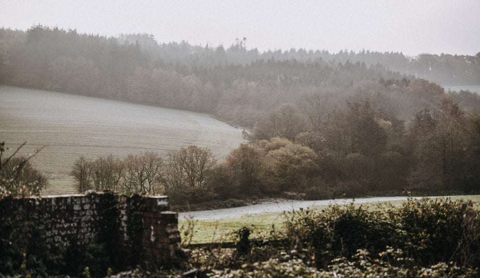 February on the Farm