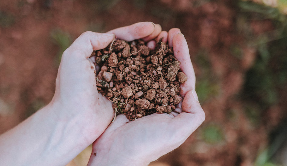 The soils of our land