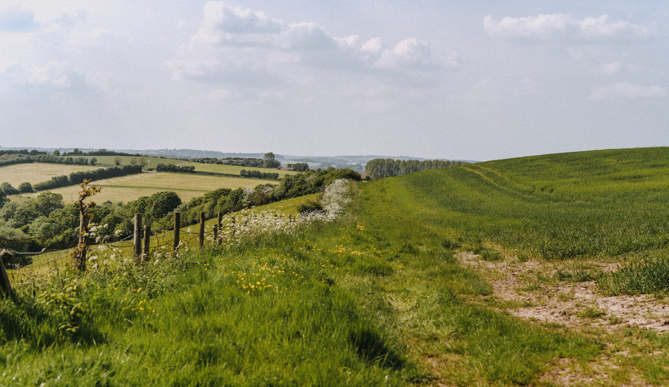 JULY ON THE FARM