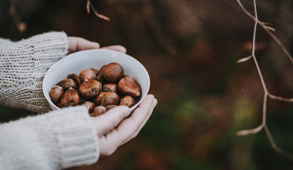 Our Guide to Winter Foraging