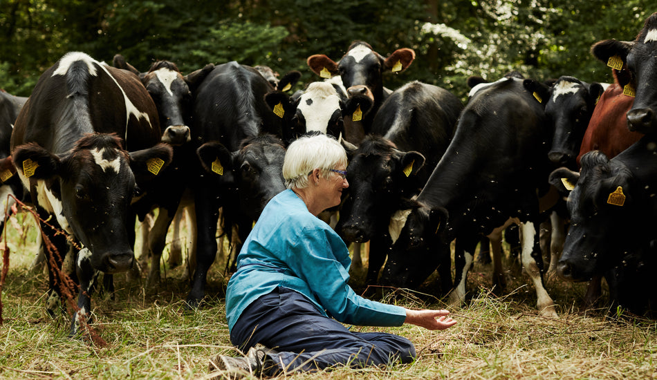 September on the farm