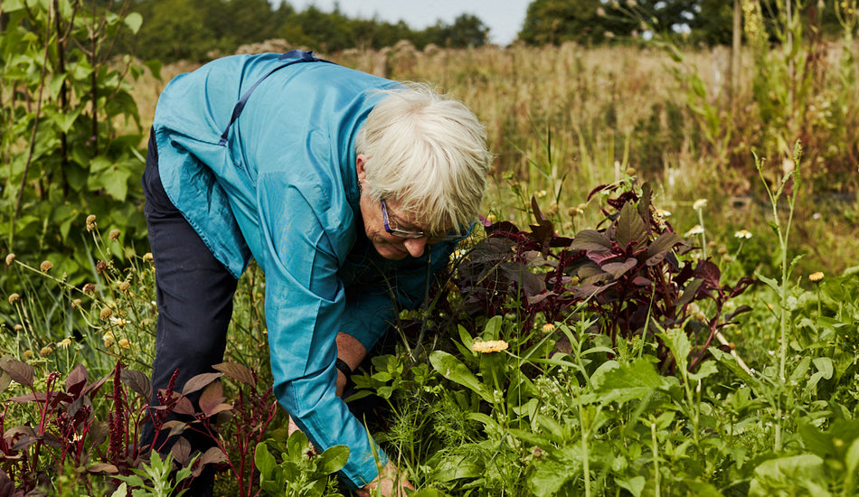 Mary's Garden Salad Growing Tips