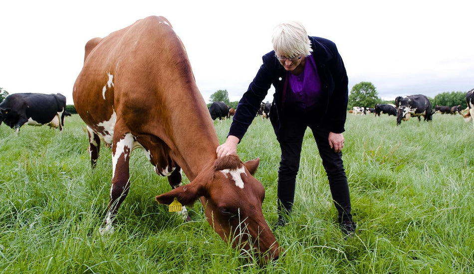 May on the farm