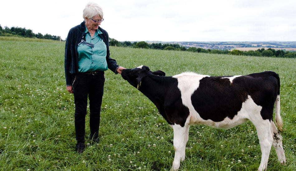 June on the farm