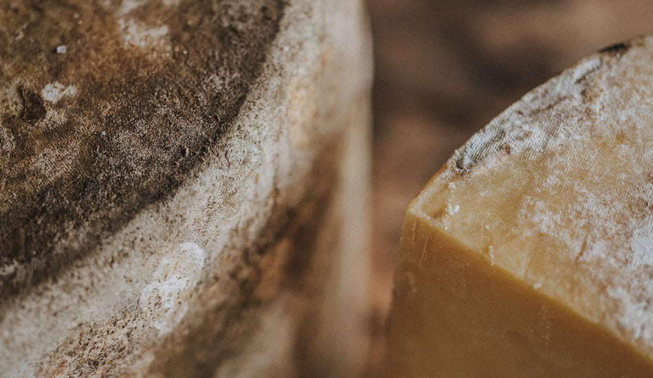 Cheese Mite: Friend or Foe?