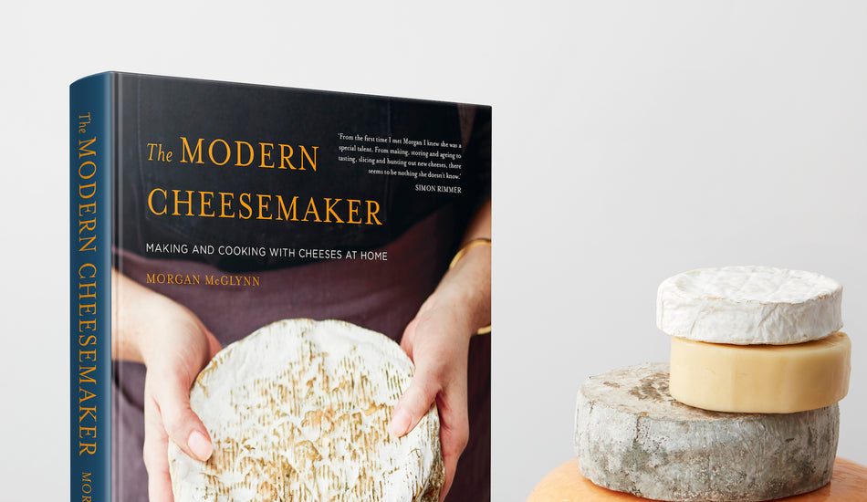 Win Morgan McGlynn's New Book on Cheesemaking