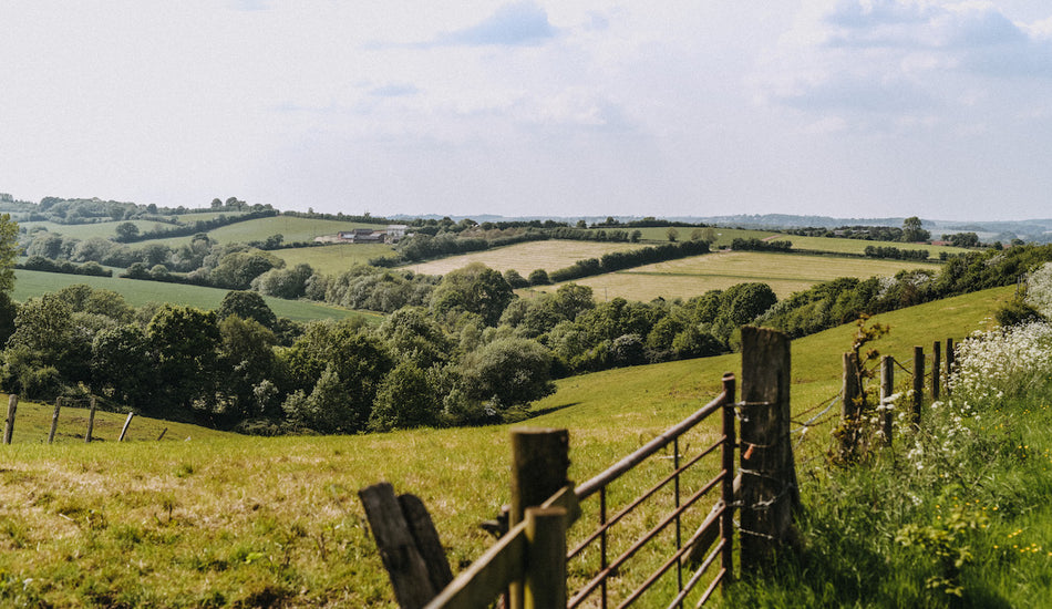 July on the farm