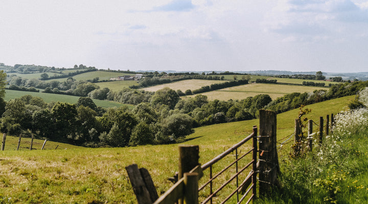 Biodiversity on the farm