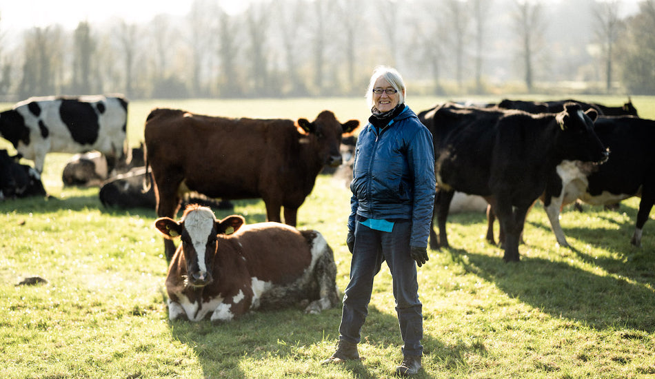 November on the farm