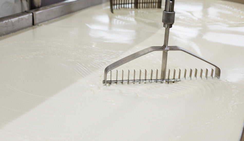 Milk: Pursuit of Flavour
