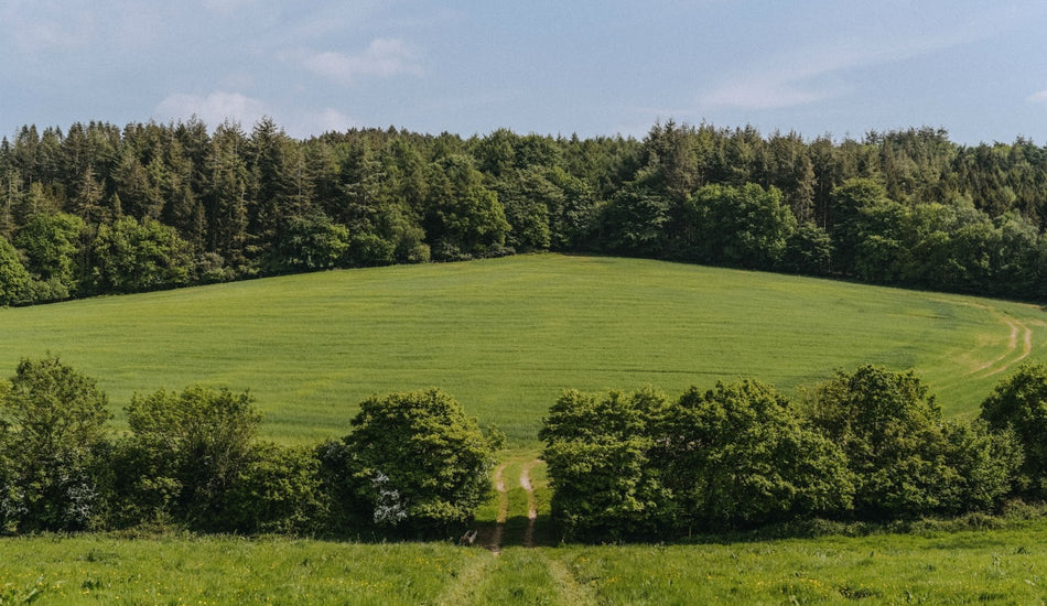 June on the farm