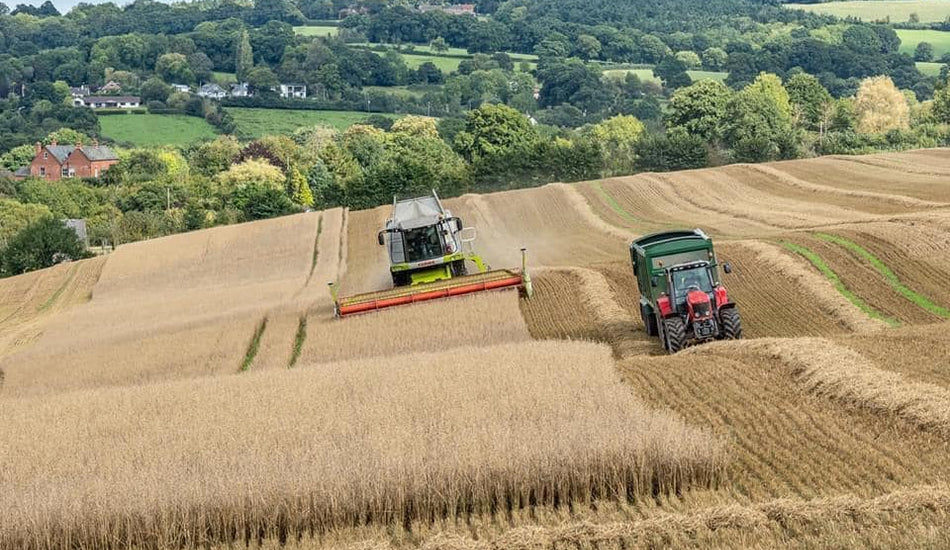 SEPTEMBER ON THE FARM