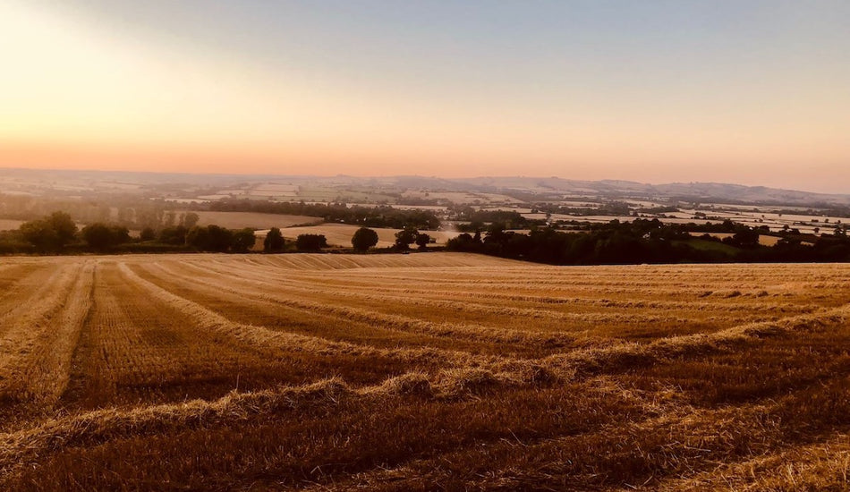 September On The Farm