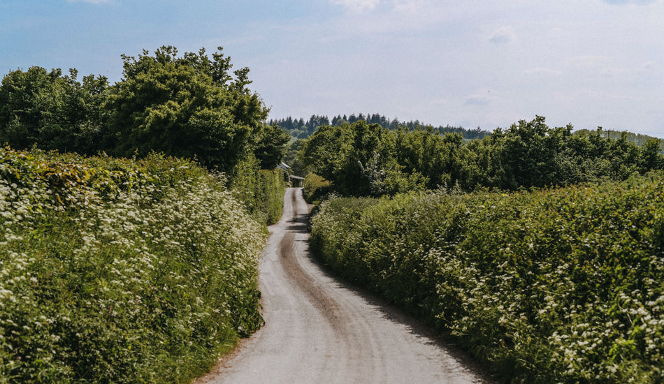 July on the farm