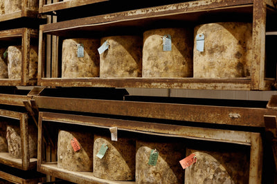 Quicke's Cheese Tour Friday 6th June 2025