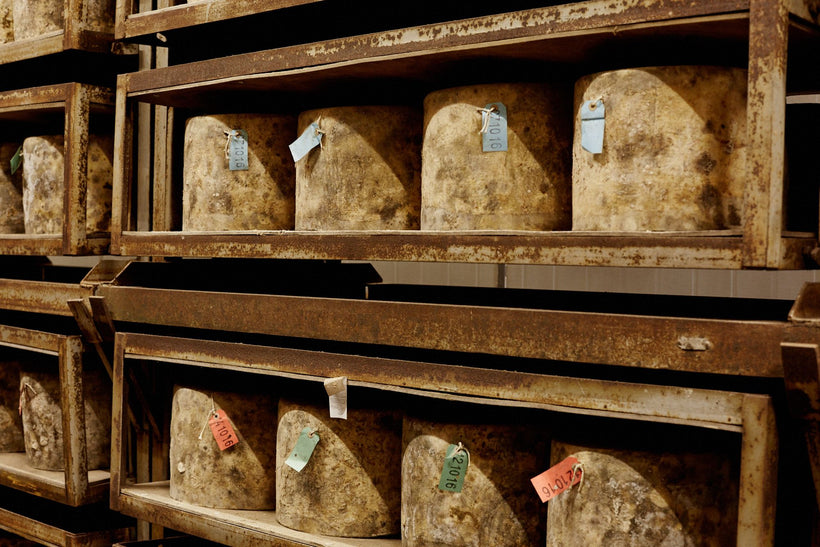 Quicke's Cheese Tour Friday 13th June 2025