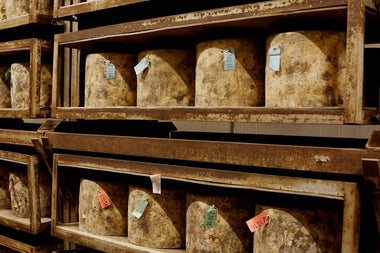 Quicke's Cheese Tour Friday 23rd May 2025