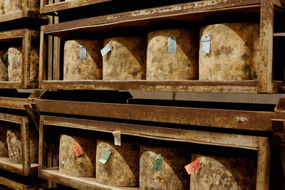 Quicke's Cheese Tour Friday 2nd May 2025